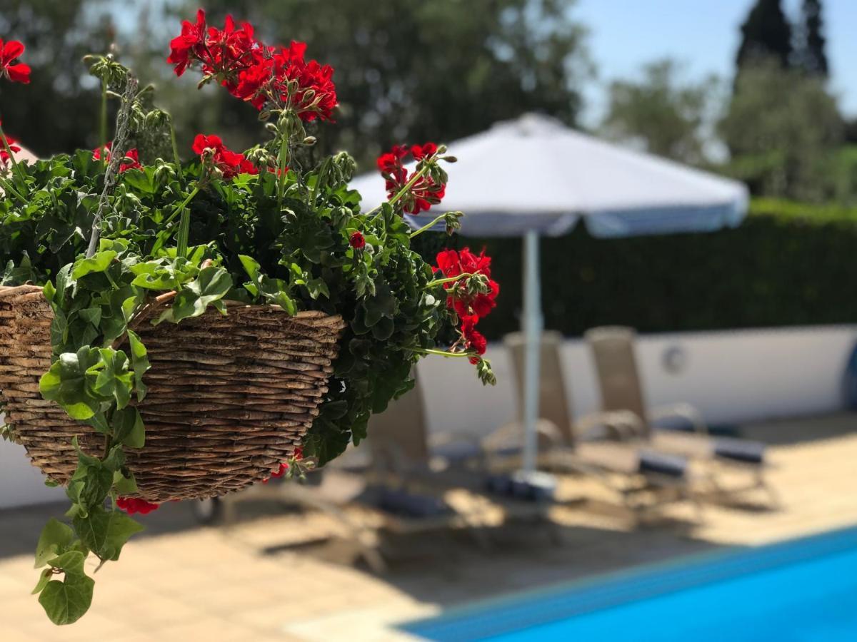 Villa Elia Bed And Breakfast Kiti Zewnętrze zdjęcie